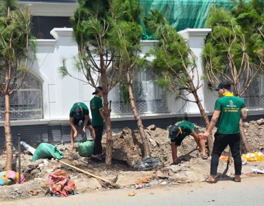 Thi Công Cảnh Quan