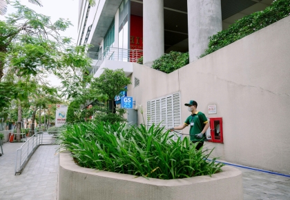 Thi Công Cảnh Quan Sân Vườn TP.HCM
