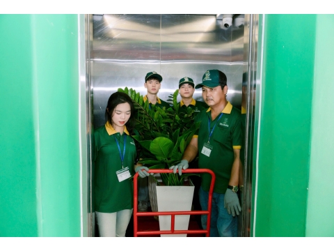 Công trình cây xanh văn phòng