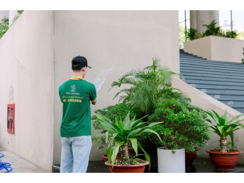 Công Trình cây Xanh Đại Học Hồng Bàng