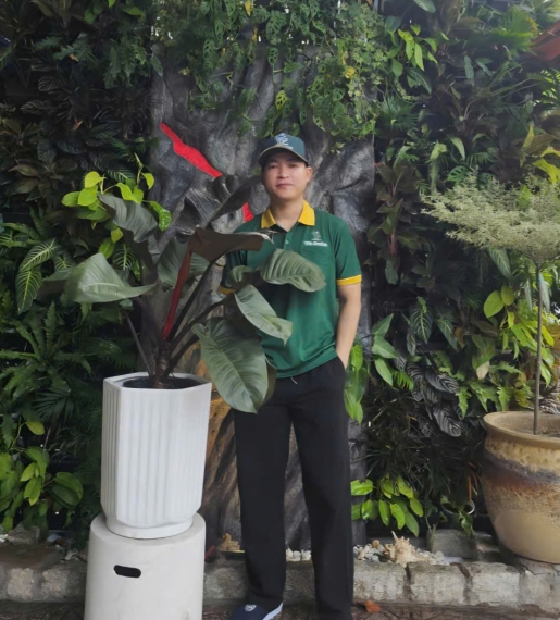 Đế Vương Tím