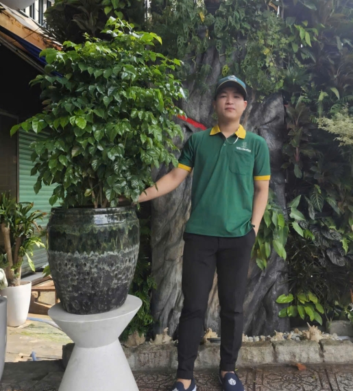 Cây Hạnh Phúc
