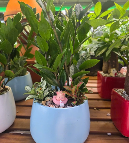 Kiêm Tiền Mini