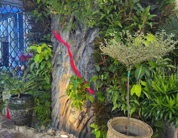 Thi công cảnh quan cây xanh bức tường đá kết hợp thác nước