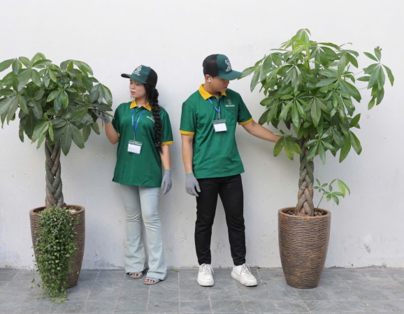 Cho Thuê Cây Văn Phòng Và Sự Kiện-WIN GARDEN
