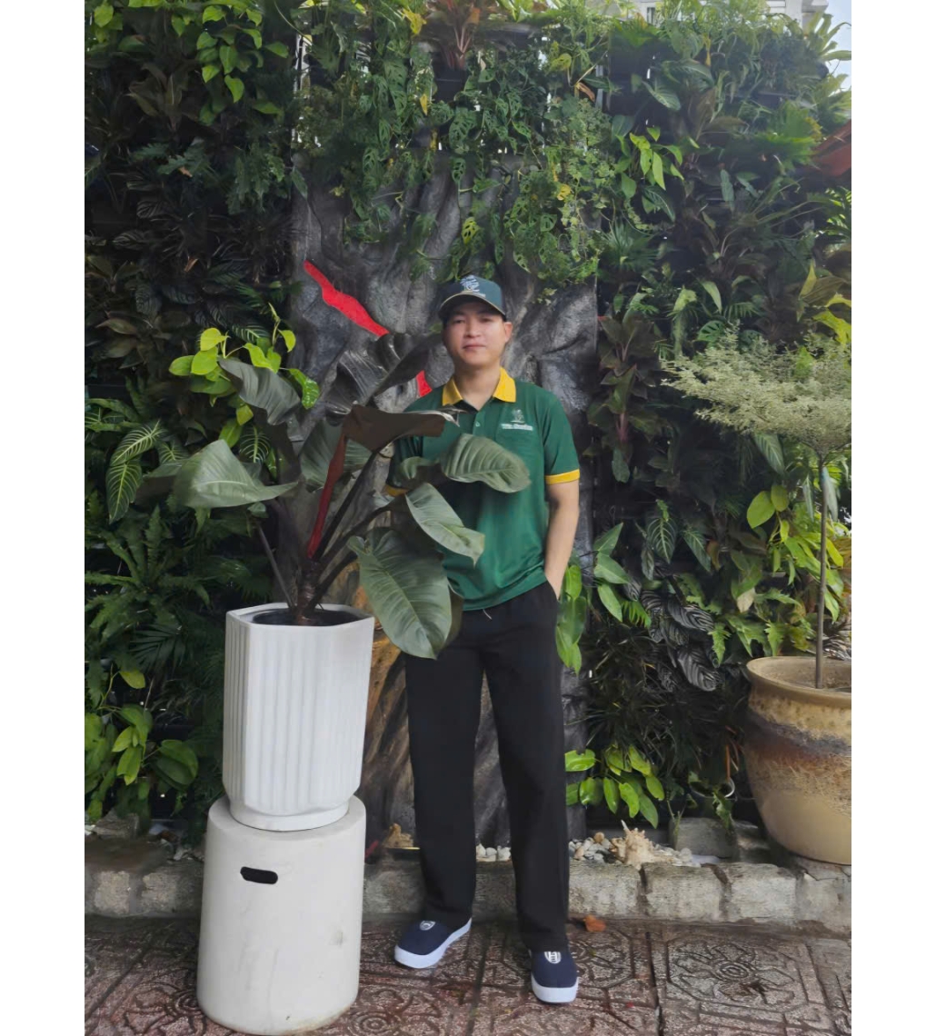 Đế Vương Tím