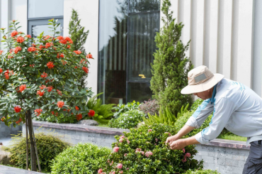 Dịch vụ khác Win Garden