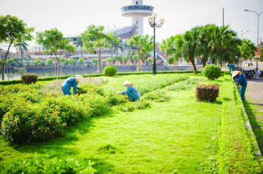 Thi công cảnh quan Win Garden